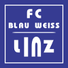 BW林茨