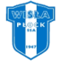 华沙普洛克logo